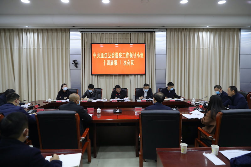 县委巡察工作领导小组第1次会议召开
